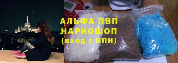 СК Корсаков