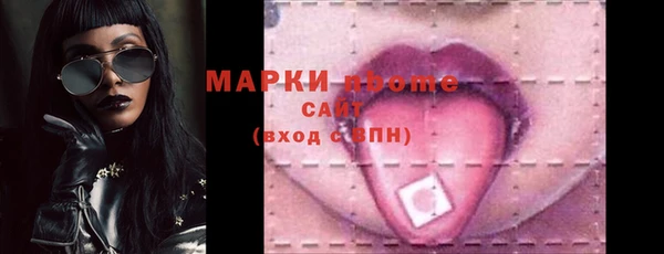 гидра Краснослободск