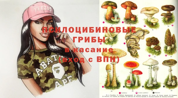 амф Коряжма