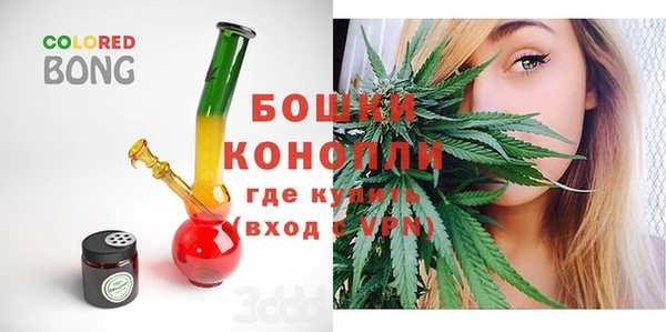 амф Коряжма